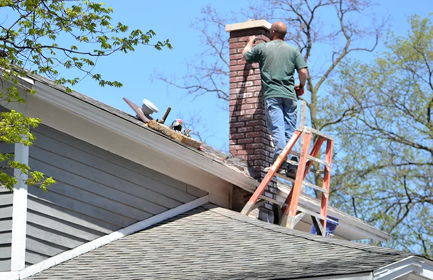 Chimney & Fireplace Inspections Services in Kissimmee, FL